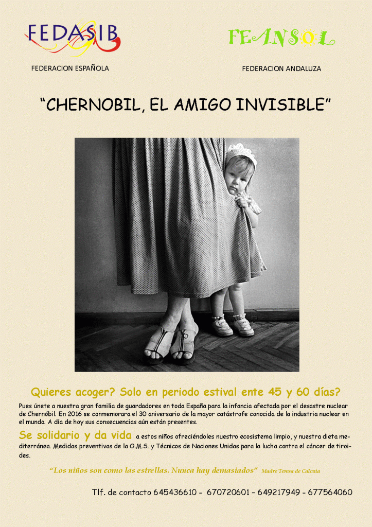 Publicación2 FEDASIB-FEANSOL