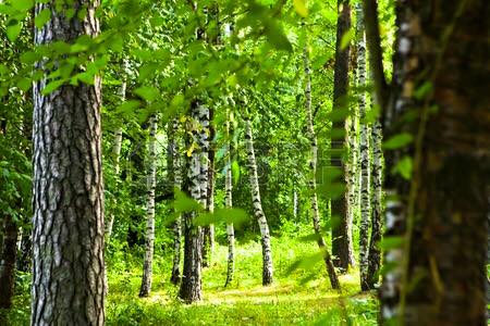 11011112_10206574021927487_6378211001762702621_n