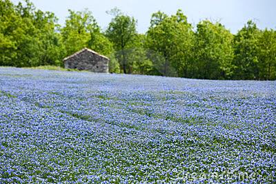 11138664_10206574022127492_3285342066713989909_n