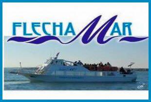 11822599_857782887649840_235466413823723619_n