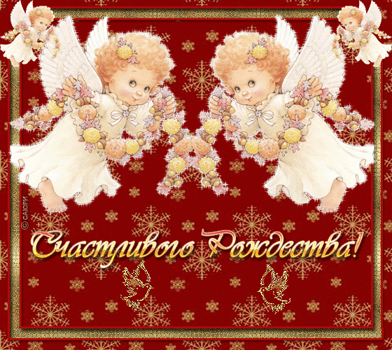 FELICITACION FUNDACION ANASTASIYA